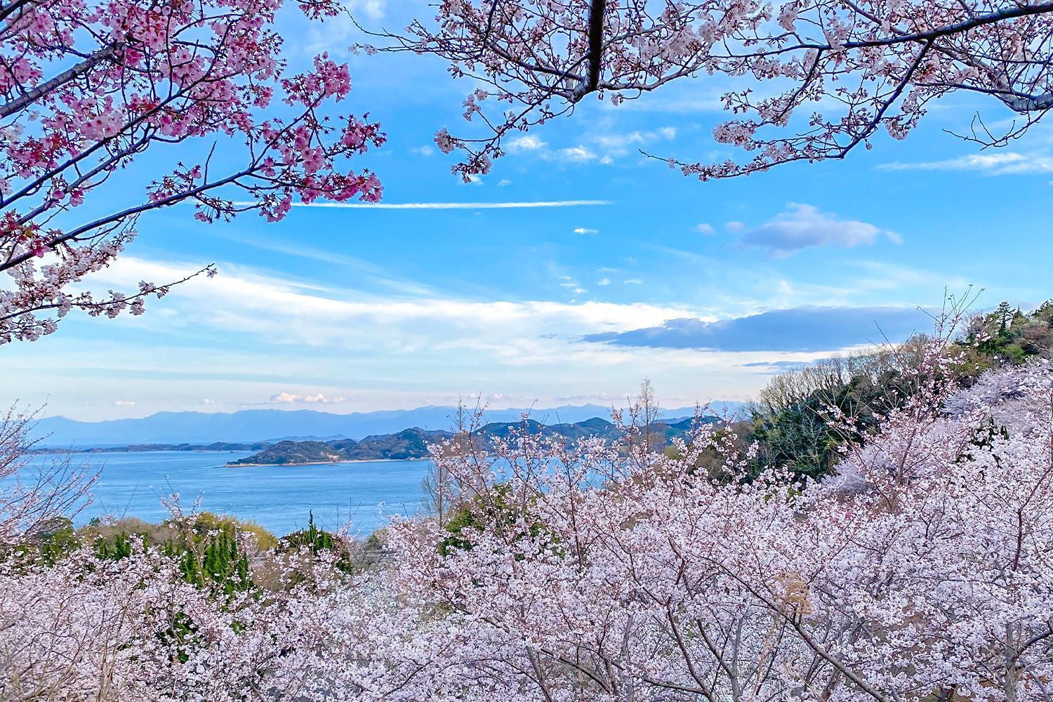 Lemon Farm Glamping Simanami Βίλα Onomichi Εξωτερικό φωτογραφία
