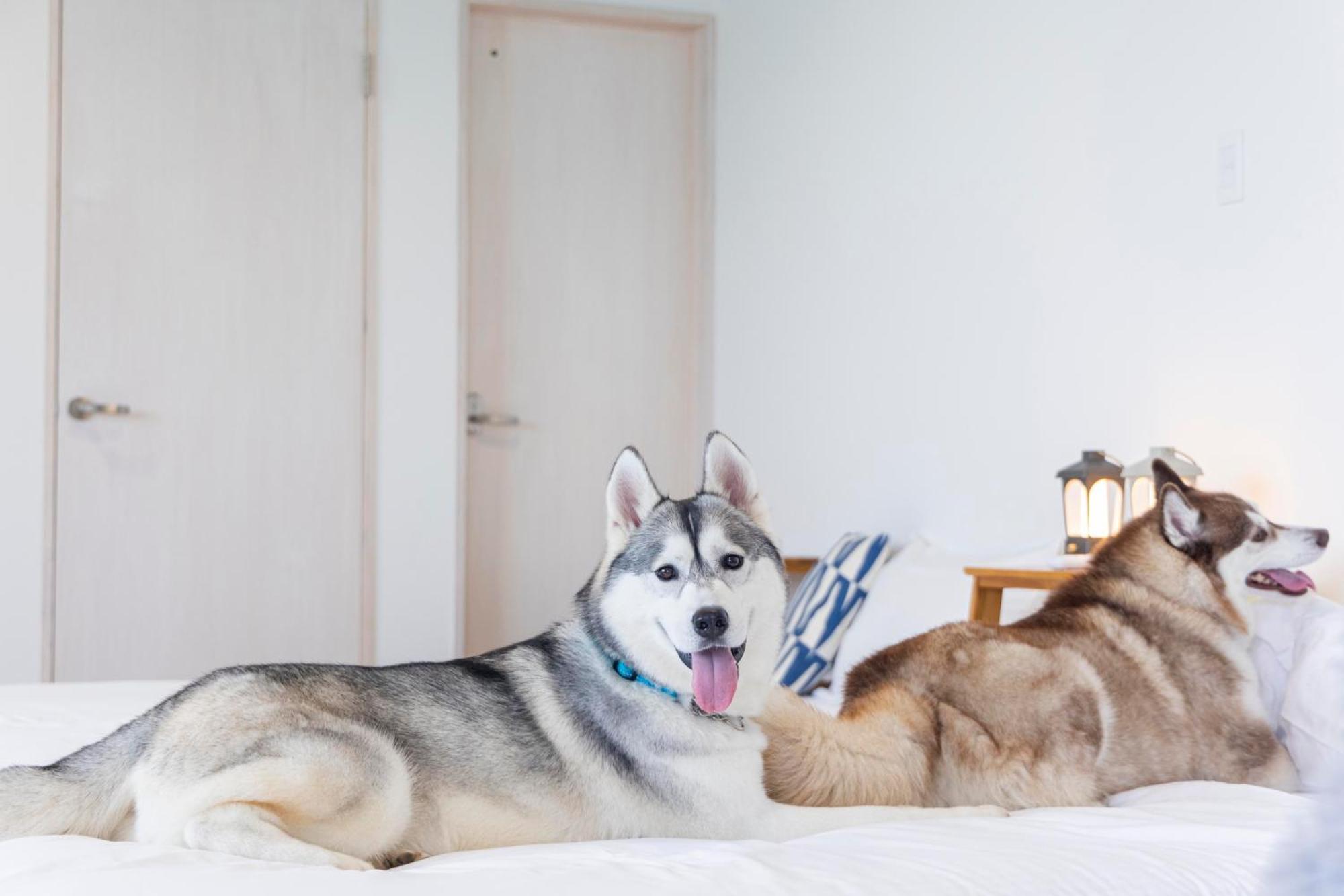 Lemon Farm Glamping Simanami Βίλα Onomichi Εξωτερικό φωτογραφία